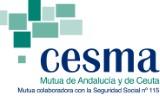 logo CESMA.jpg